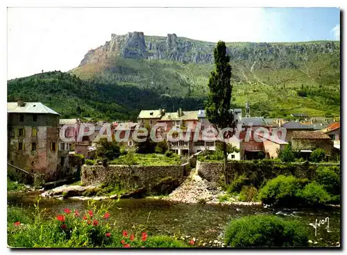 Cartes postales moderne Florac Les Bords Du Tarnon