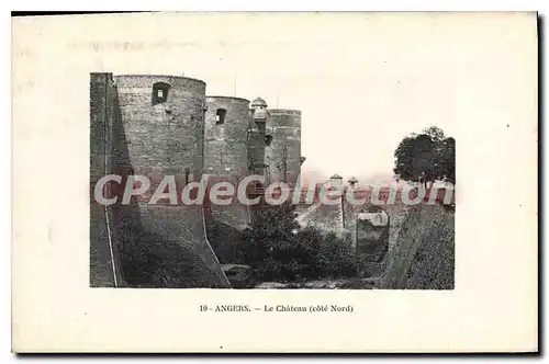 Cartes postales Angers Le Chateau