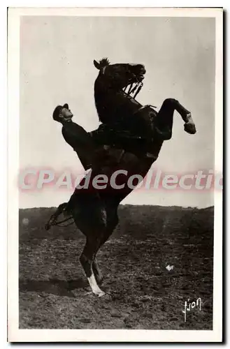 Cartes postales Saumur L'Ecole De Cavalerie Courbettes