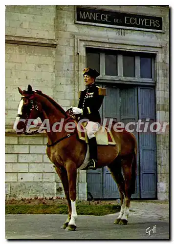 Moderne Karte Saumur Officier Du Cadre Noir