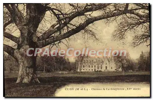 Cartes postales Cuon Chateau De La Graffiniere