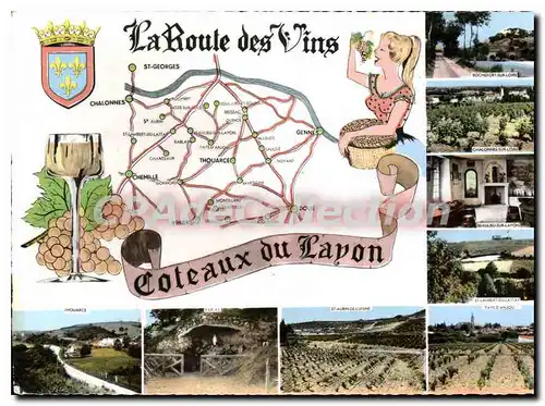 Cartes postales moderne Coteaux Du Layon