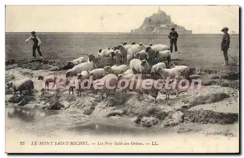 Ansichtskarte AK Le Mont St Michel Les Pres Sales Des Greves