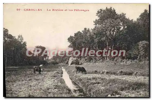 Cartes postales Carolles La Riviere Et Les Paturages