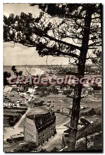 Cartes postales Carolles La Plage Vue A Travers Les Pins