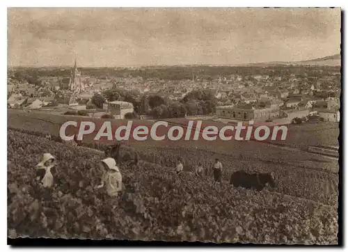 Cartes postales moderne Champagne Pommery Greno Reims vue g�n�rale