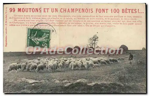 Ansichtskarte AK 99 Moutons Et Un Champenois Font 100 Betes