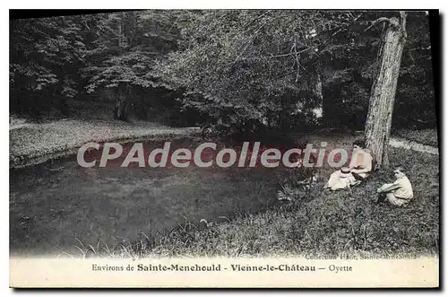 Cartes postales Sainte Menehould Vienne Le Chateau Oyette
