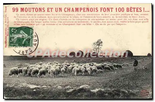 Cartes postales 99 Moutons Et Un Champenois Font 100 b�tes