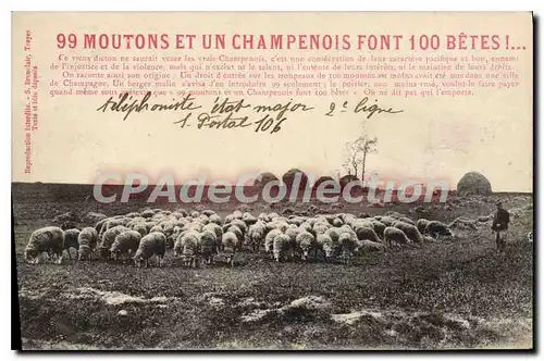 Ansichtskarte AK 99 Moutons Et Un Champenois Font 100 b�tes