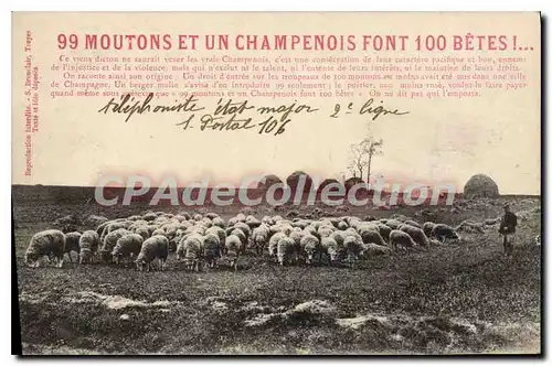 Cartes postales 99 Moutons Et Un Champenois Font 100 b�tes