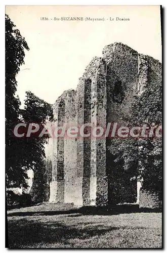 Cartes postales Ste Suzanne Le Donjon