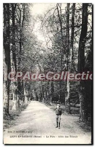 Cartes postales Ligny En Barrois Le Parc Allee Des Tilleuls