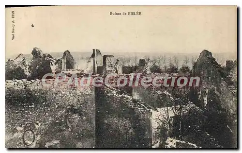 Cartes postales Ruines De Bislee