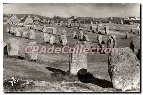 Cartes postales Carnac Les Alignements Du Menec