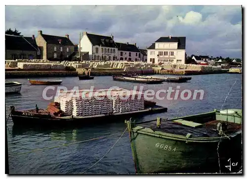 Cartes postales moderne Carnac Preparation Des Huitres