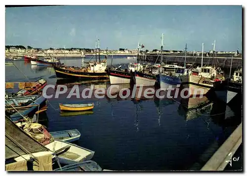 Cartes postales moderne Quiberon Les Bateaux De Peche Port Maria