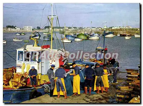 Cartes postales moderne Quiberon Port Maria