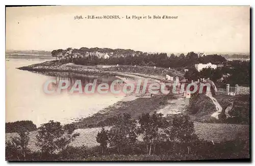 Cartes postales Ile Aux Moines La Plage Et Le Bois D'Amour