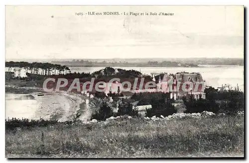 Ansichtskarte AK Ile Aux Moines La Plage Et Le Bois D'Amour