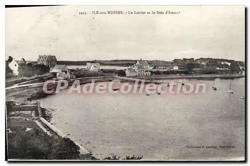 Cartes postales Ile Aux Moines Le Lairiot Et Le Bois D'Amour