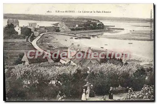 Cartes postales Ile Sur Moines Le Lairiot Et Le Bois D'Amour