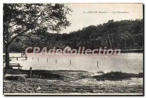 Cartes postales Bitche Lac D'Hasselfurt