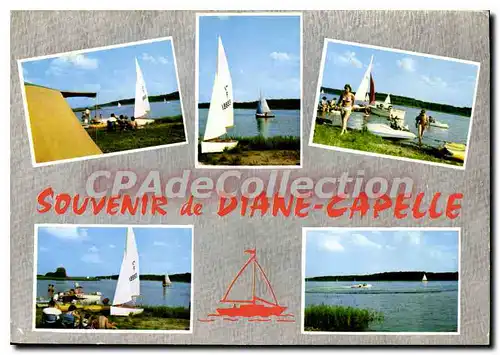 Moderne Karte Diane Capelle Etang Du Stock