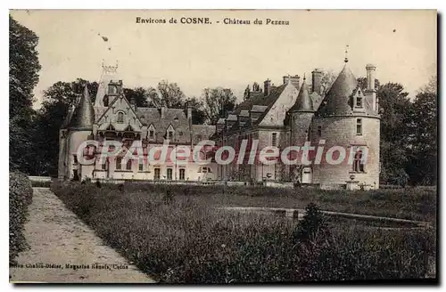 Cartes postales Cosne Chateau Du Pezeau