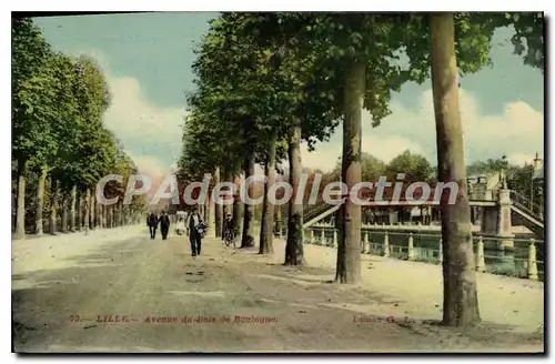 Cartes postales Lille Avenue Du bois de Boulogne