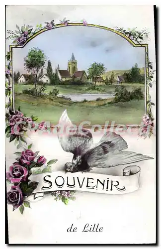 Cartes postales Souvenir De Lille