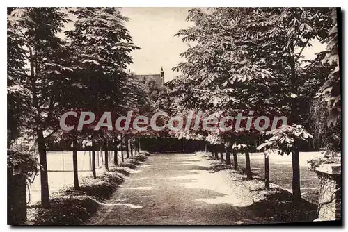 Cartes postales Roubaix Allee Des Marronniers institution de S�gur