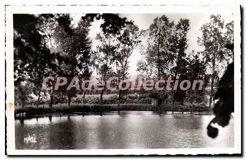 Cartes postales Avesnes L'Etang Du Moulin St-Pierre