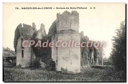 Cartes postales Bagnoles De L'Orne Ruines Du Bois Thibaut