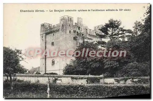 Ansichtskarte AK Chambois Le Donjon admirable sp�cimen