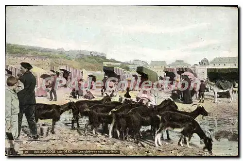 Cartes postales Boulogne Sur Mer les ch�vres sur La Plage