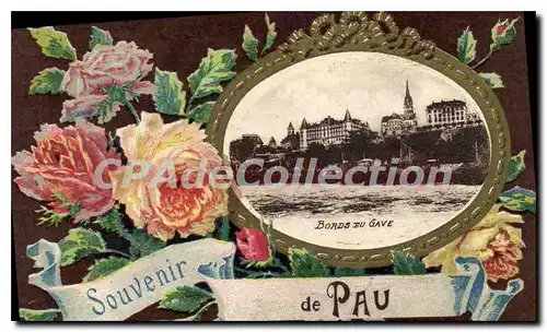 Cartes postales Souvenir De Pau