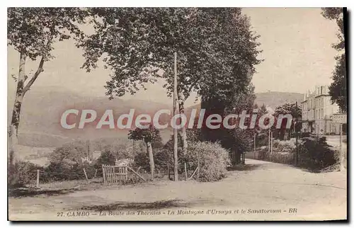 Cartes postales Cambo La Route Des Thermes sanatorium