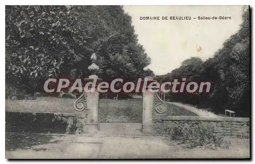 Cartes postales Domaine De Beaulieu Salies De Bearn