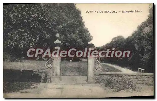 Cartes postales Domaine De Beaulieu Salies De Bearn