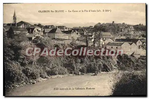 Cartes postales Oloron Ste Marie Le Gave Et Le Pic