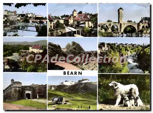 Cartes postales moderne Bearn Salies De Bearn