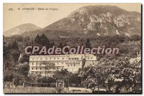 Cartes postales Argeles Hotel De France