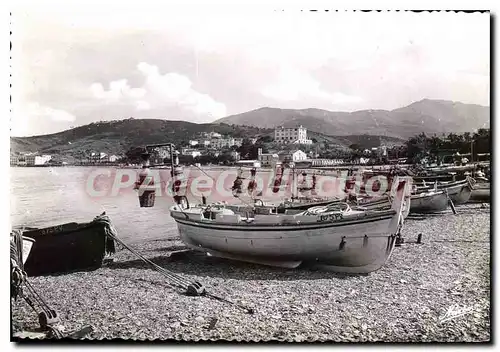 Cartes postales moderne Banyuls Sur Mer Les Barques Equipees lamparo