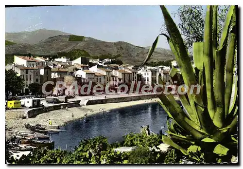 Cartes postales moderne Collioure Un Coin De la Plage Et Du Faubourg