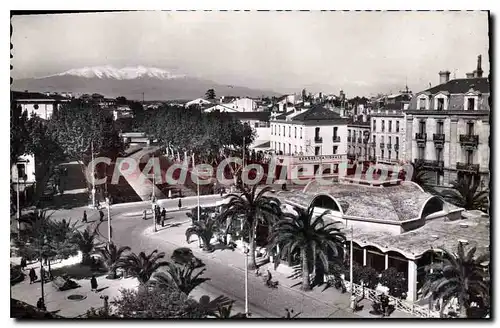 Ansichtskarte AK Perpignan Le Palmarium Les Quais De La Basse