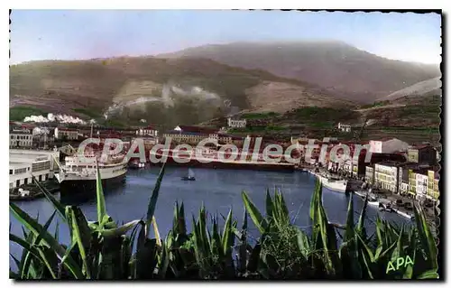 Cartes postales Port VENDRES Vue Panoramique Sur Le Port