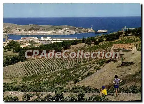 Cartes postales moderne Port VENDRES Vue Generale paquebot