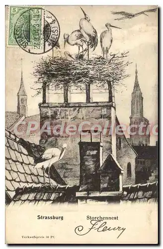 Cartes postales Strasbourg Storchennest cigogne