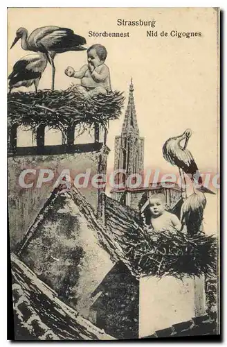 Cartes postales Strasbourg nid de cigognes